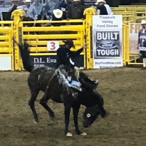 Meet your Posher, Samala